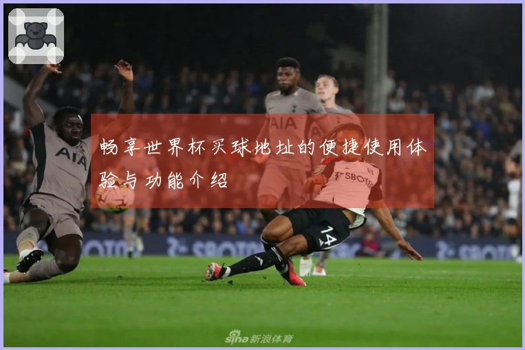 畅享世界杯买球地址的便捷使用体验与功能介绍