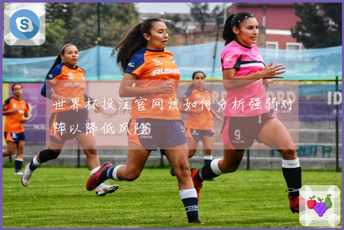 世界杯投注官网该如何分析强弱对阵以降低风险