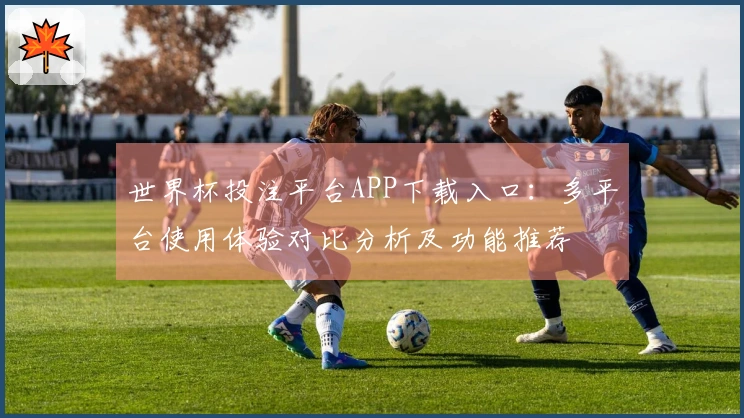 世界杯投注平台APP下载入口：多平台使用体验对比分析及功能推荐