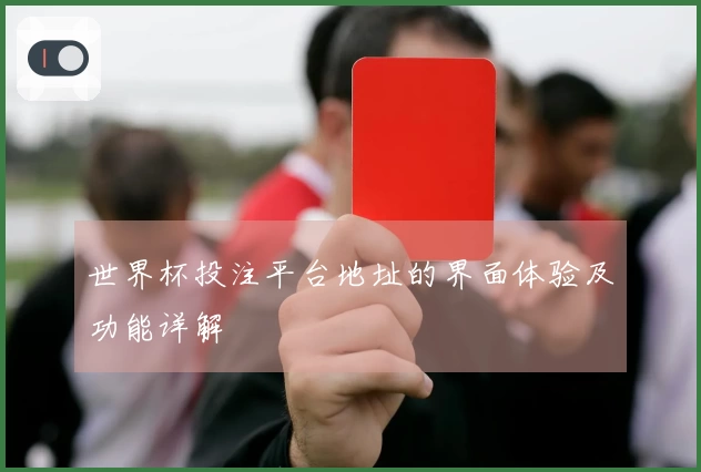 世界杯投注平台地址的界面体验及功能详解
