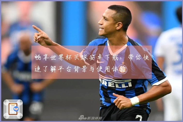 畅享世界杯买球安卓下载，带你快速了解平台背景与使用体验