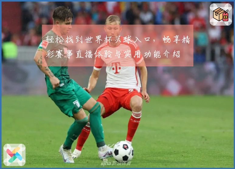 轻松找到世界杯买球入口，畅享精彩赛事直播体验与实用功能介绍