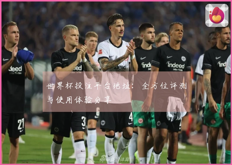 世界杯投注平台地址：全方位评测与使用体验分享