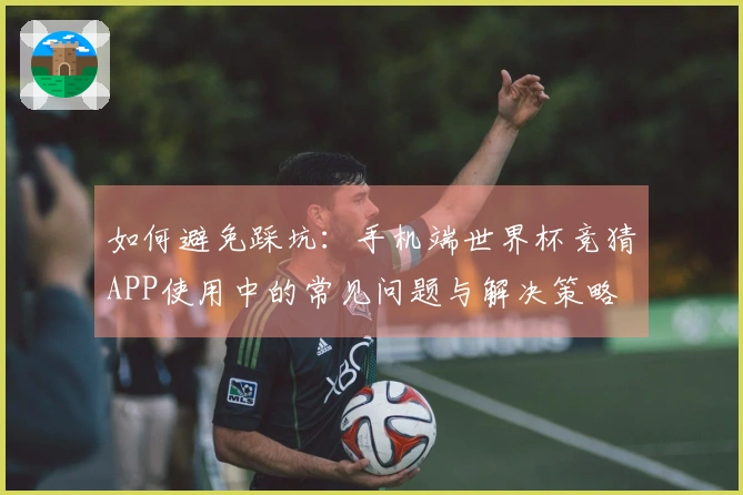 如何避免踩坑：手机端世界杯竞猜APP使用中的常见问题与解决策略