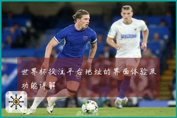 世界杯投注平台地址的界面体验及功能详解