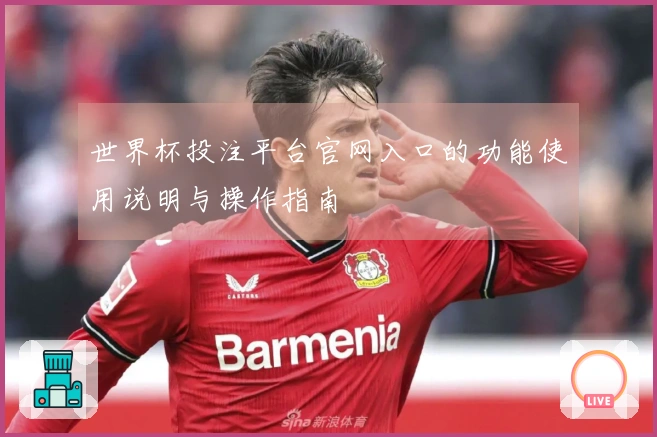 世界杯投注平台官网入口的功能使用说明与操作指南